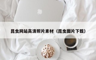章丘昆虫网站高清照片素材（昆虫图片下载）